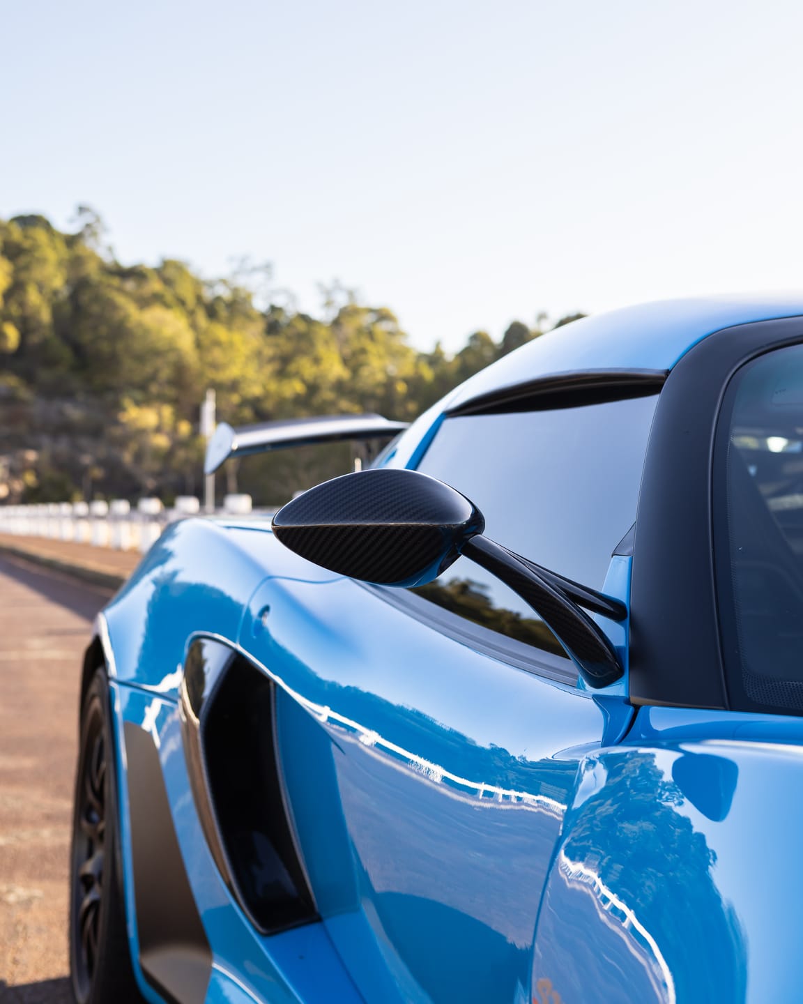 Customer photo review of Lotus Carbon Fibre Side Mirrors