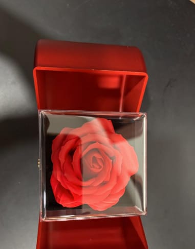 Customer photo review of To My Beautiful Wife - Forever And Always - Love Knot Necklace with Red Heart Rose Box