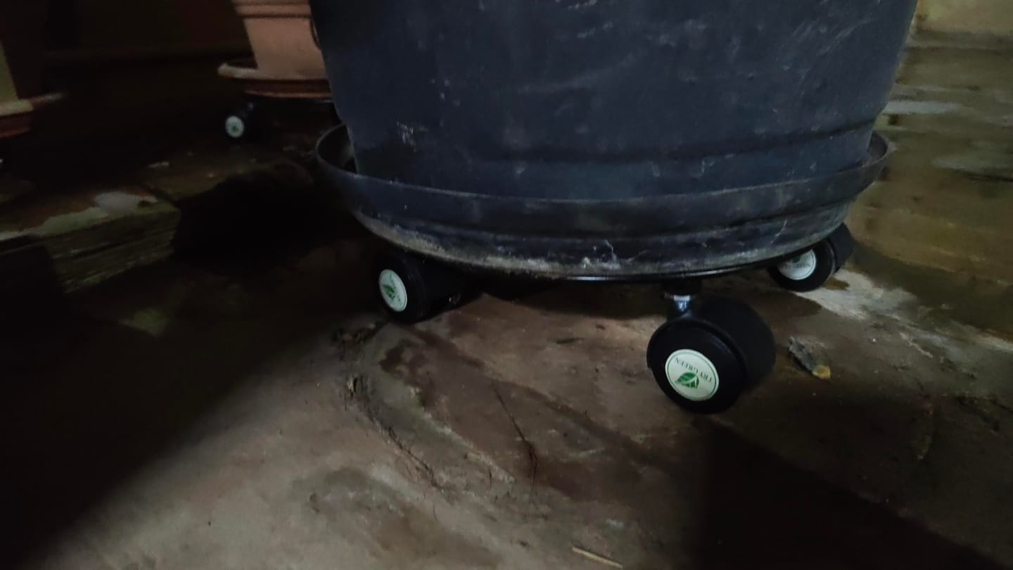 Customer photo review of TryGreen Luna Wheel Rolling Plant Stand for Planters