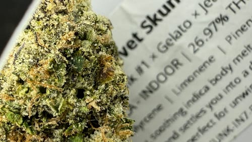 Customer photo review of Velvet Skunk