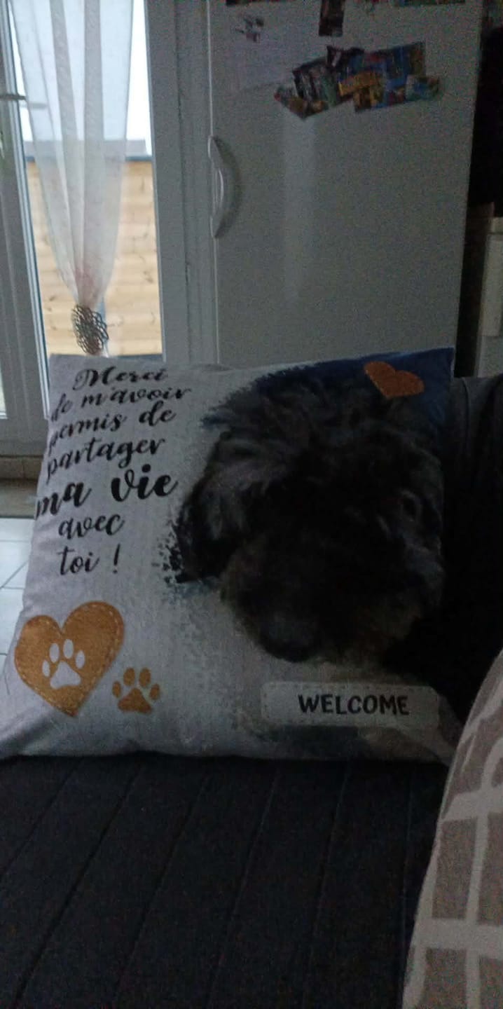 Customer photo review of Merci - Coussin personnalisé