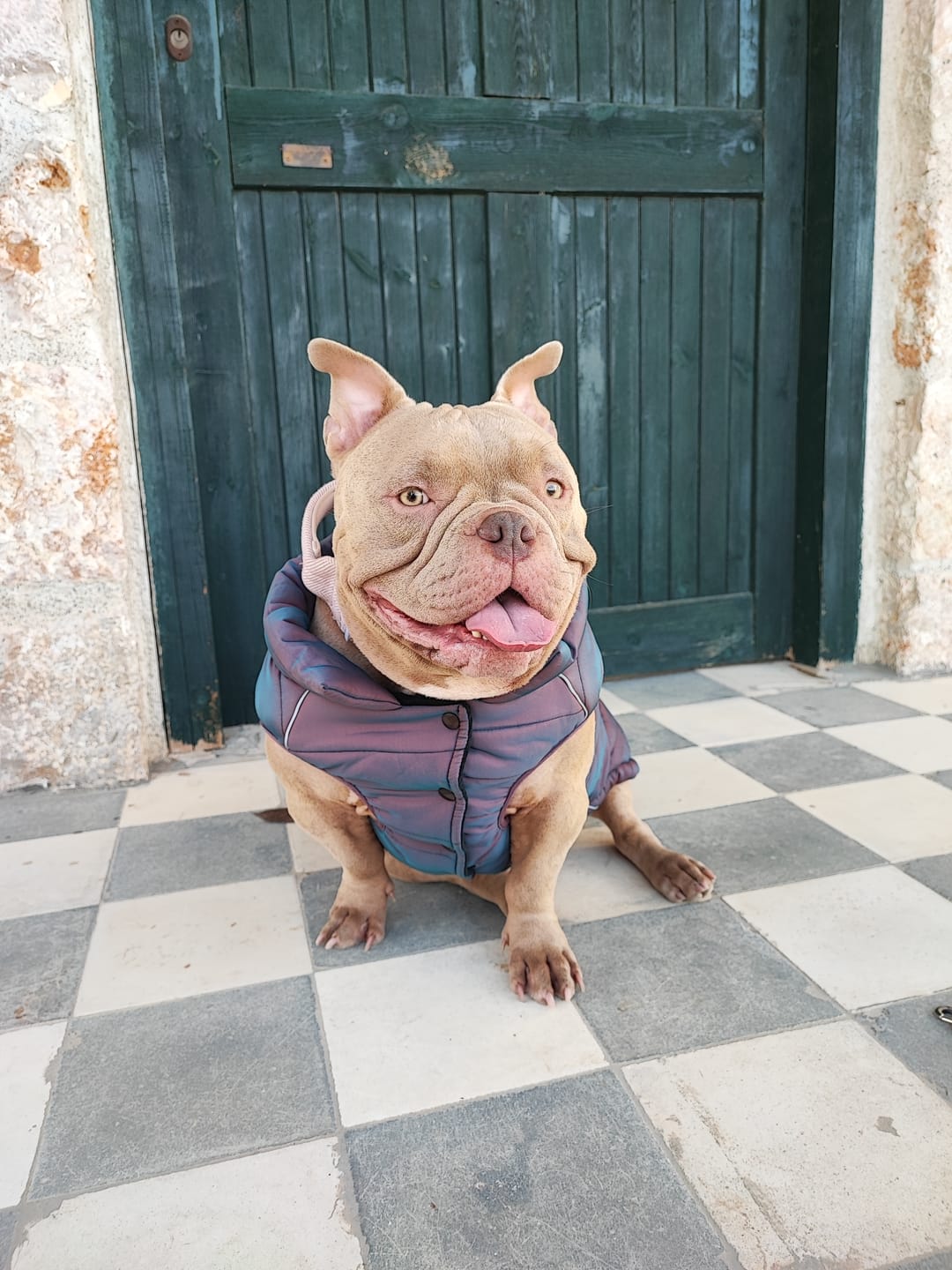 Customer photo review of WarmShield Water-Resistant Jacket - Cosmic