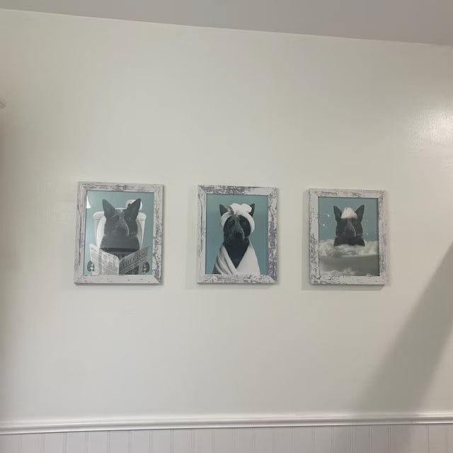 Customer photo review of Cat Reading Newspaper