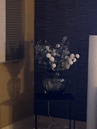 Customer photo review of Terra vase - Noir