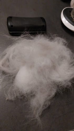 Ein Kunde zeigt einen großen Haufen heller Tierhaare, der nach der Anwendung der Fellwunder Bürste entfernt wurde.