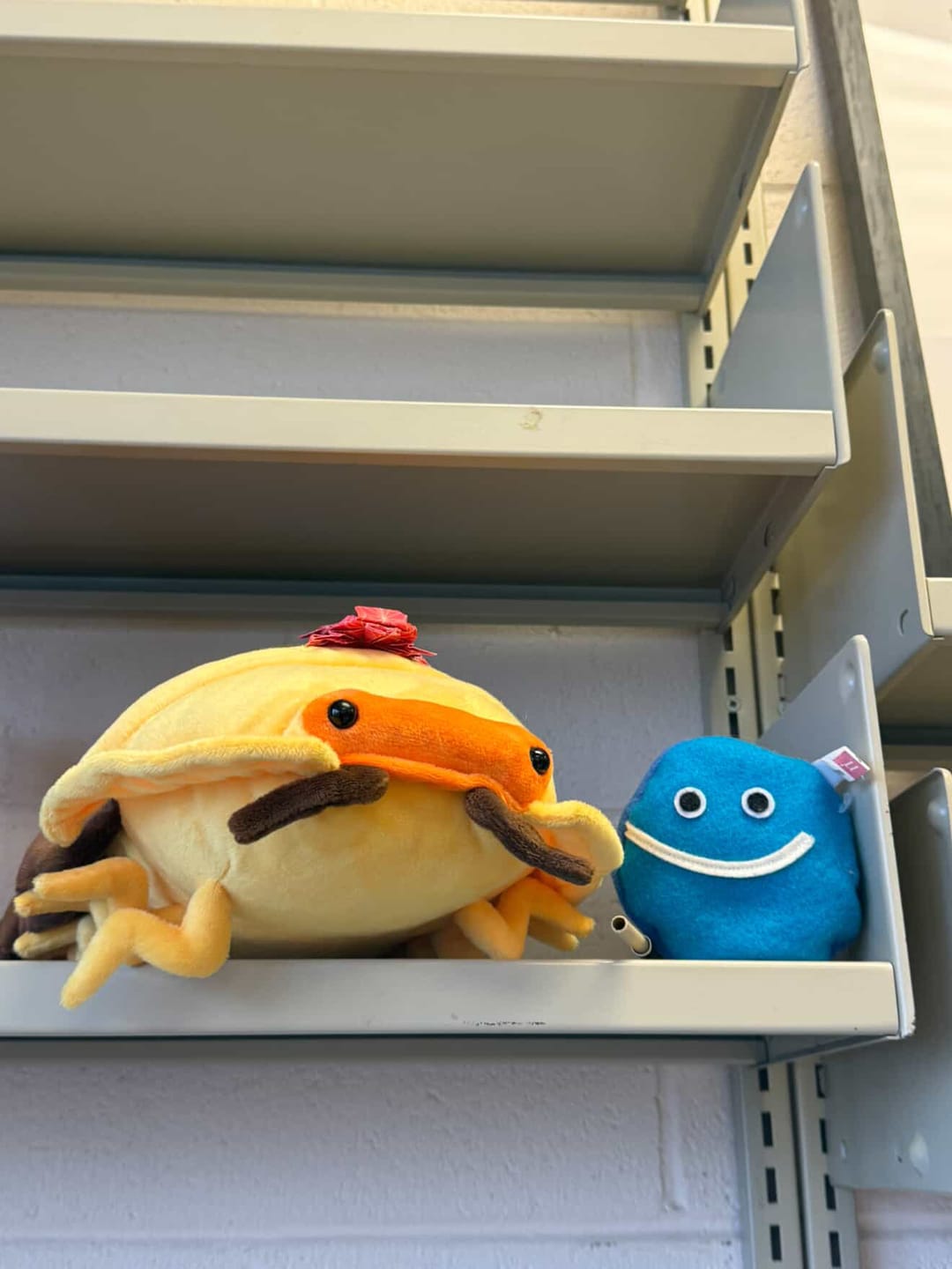 Customer photo review of Roly-poly Bug Soft Stuffed Plush Toy