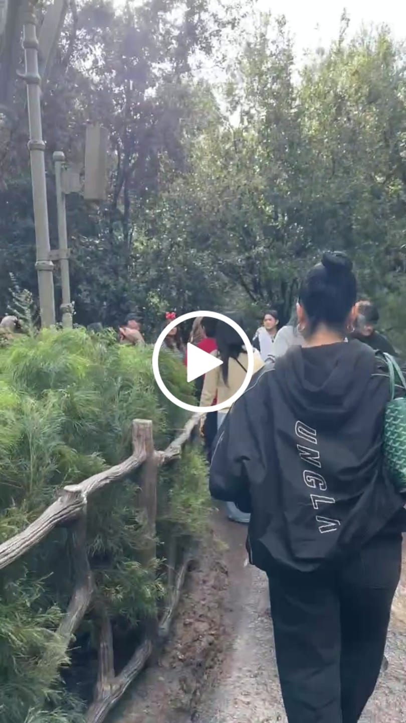Customer video review of W561 Flash Windbreaker