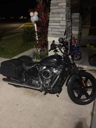 Customer photo review of 30L - Stealth Large Quick Mount Saddlebags for Harley Davidson Softail Street Bob FXBB