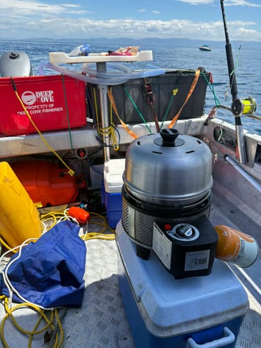 Customer photo review of COBB Grill Gas Bundle