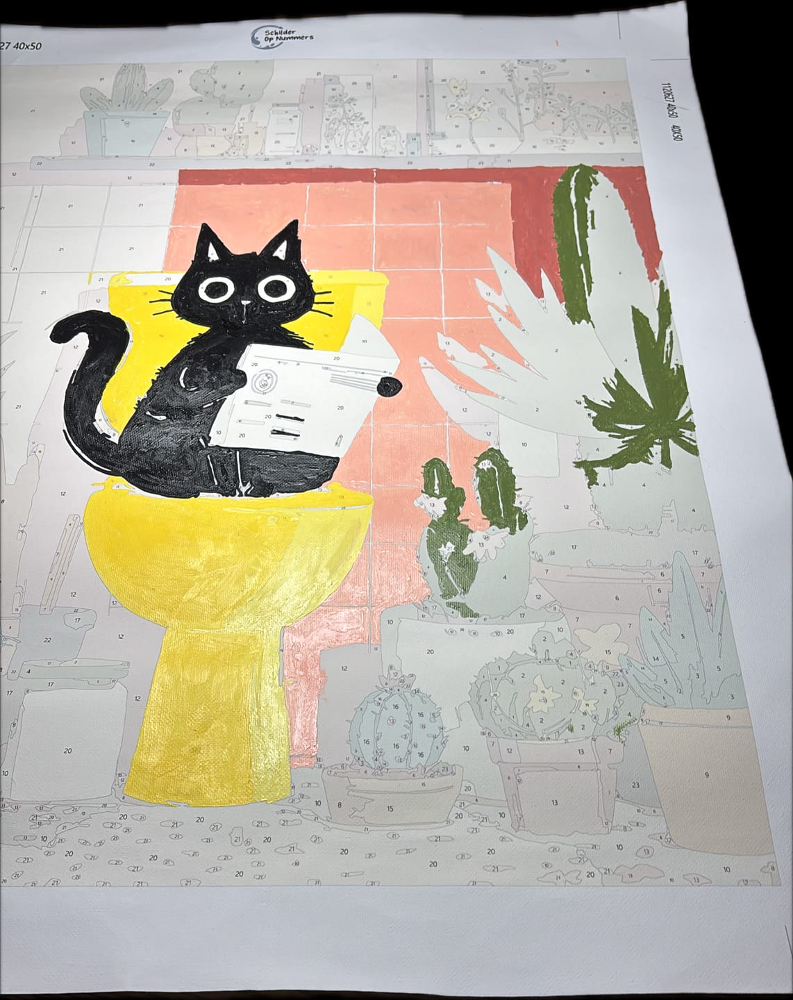 Customer photo review of De zwarte kat op het toilet