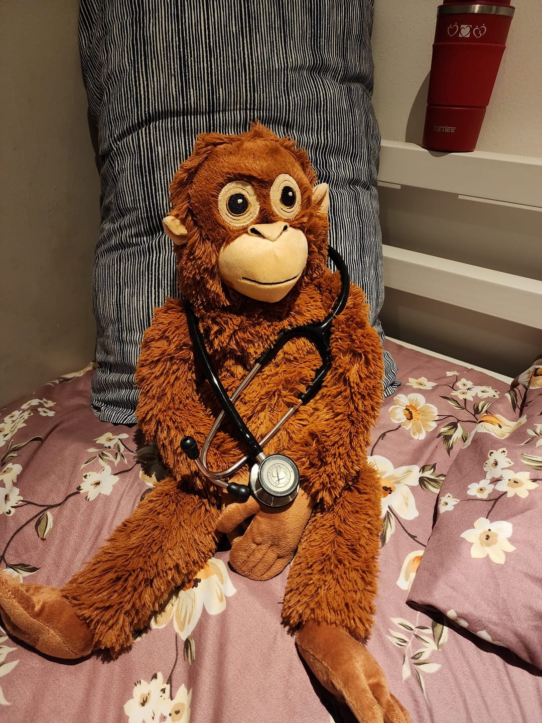 Customer photo review of Littmann Classic III Monitoring Stethoscope: Black 5620