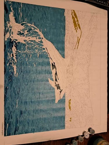 Customer photo review of Common Dolphin *NEW*