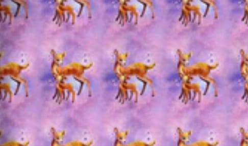 Customer photo review of Flutter & Fawn Quilt
