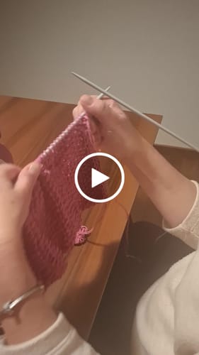 Customer video review of LOV PAE X8