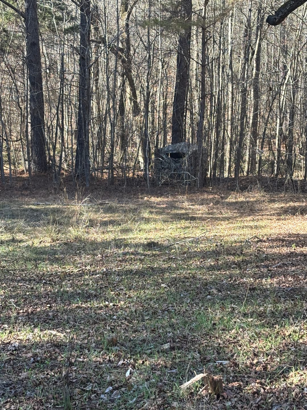Customer photo review of Vis360 See Through Ground Blind | 360° Camouflage Pop Up Hunting Blind for 2/3/4 Person | Portable Deer Blind with Orange Cover