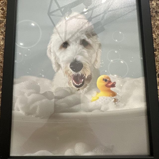 Customer photo review of Custom Dog Portrait for Bathroom