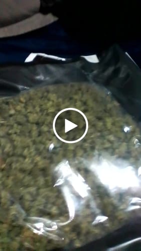 Customer video review of Gelatti Littles - Bulk Littles - Hybrid