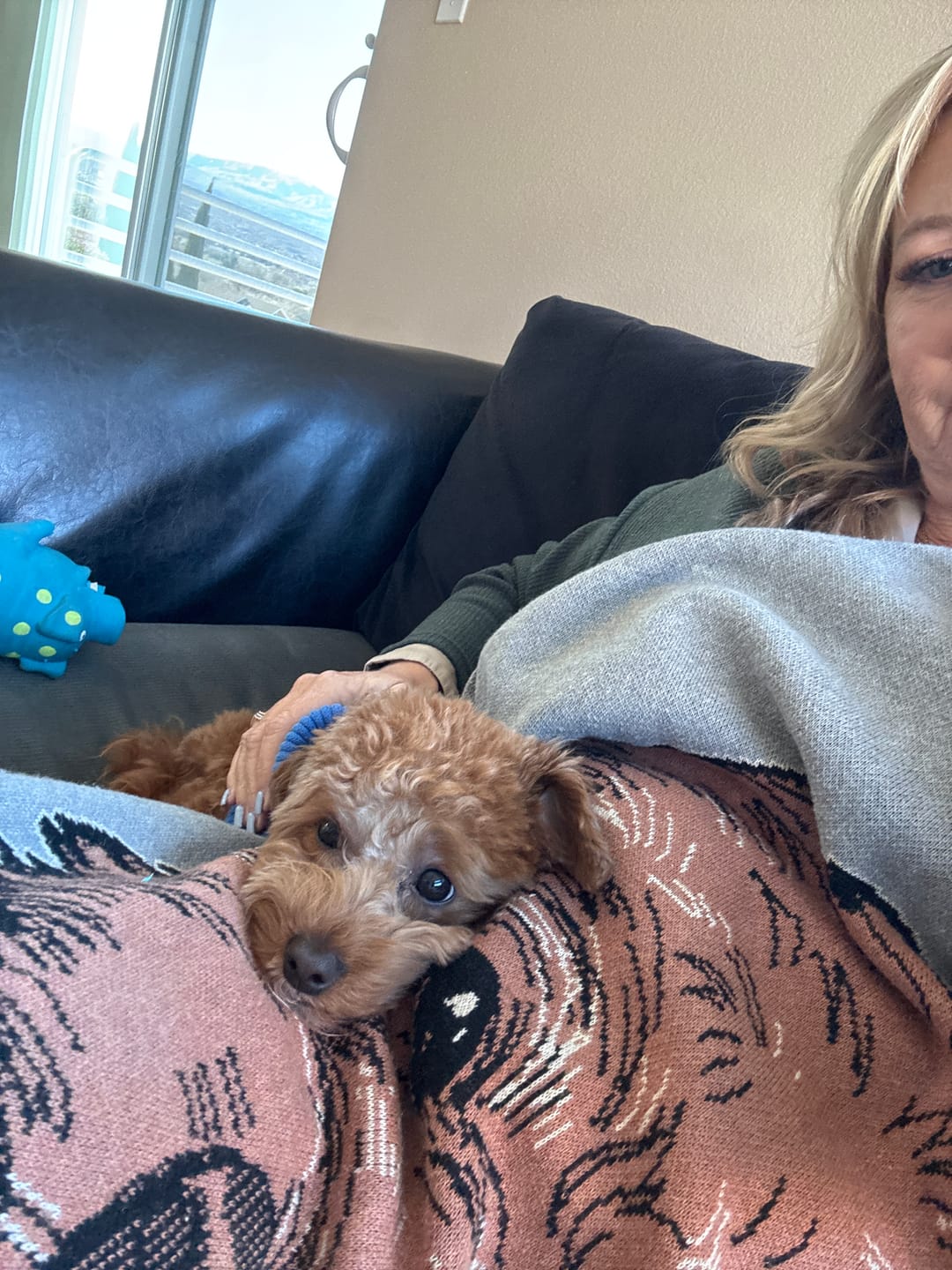 Customer photo review of Plain Dog - Custom Knitted Blanket