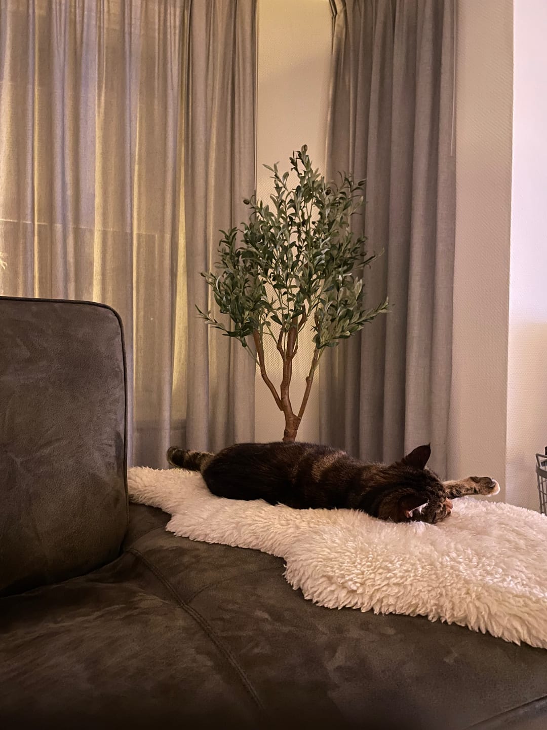Customer photo review of Kunst Olijfboom 150cm