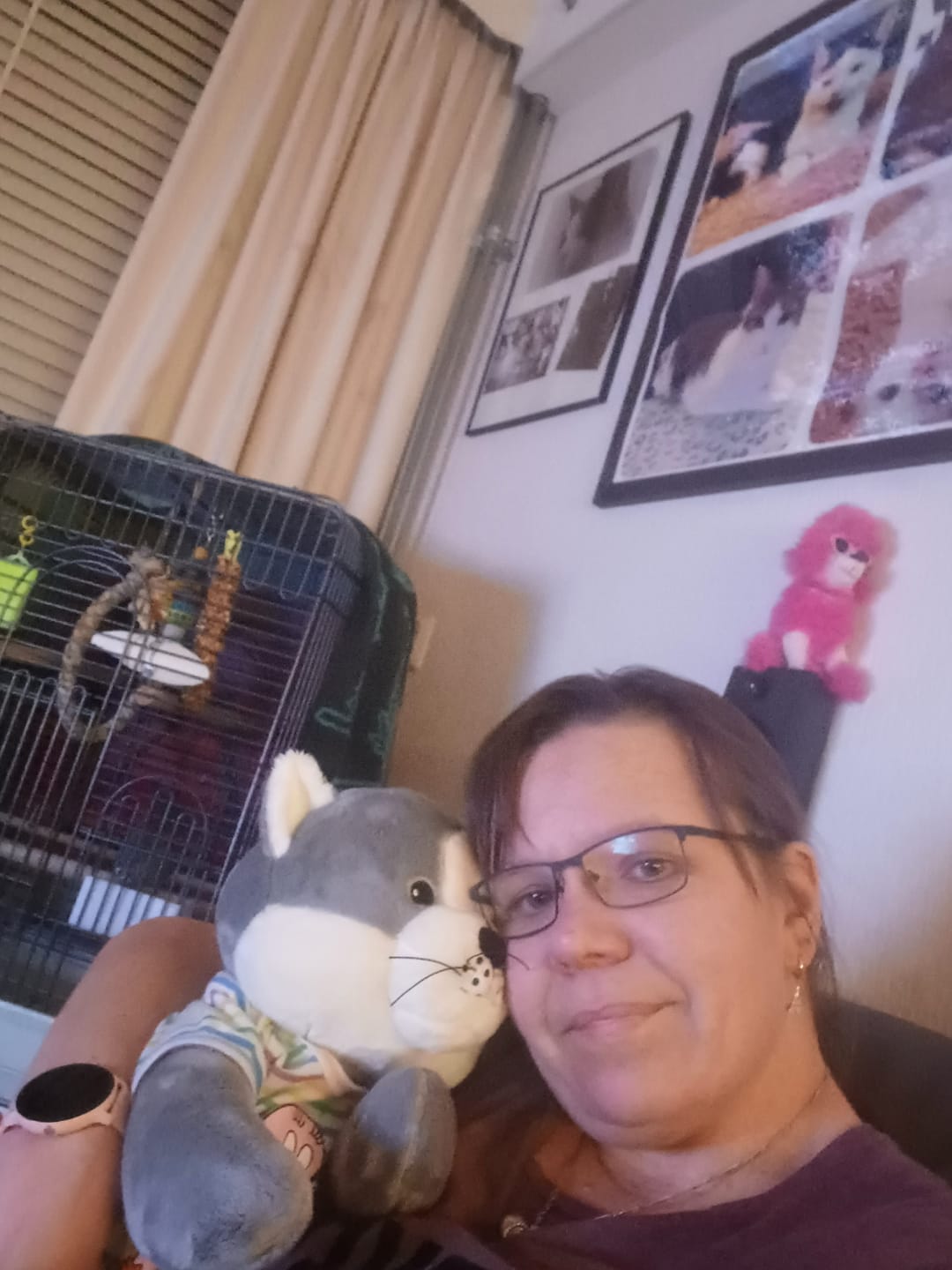 Customer photo review of Lotgenootje Kat 2kg