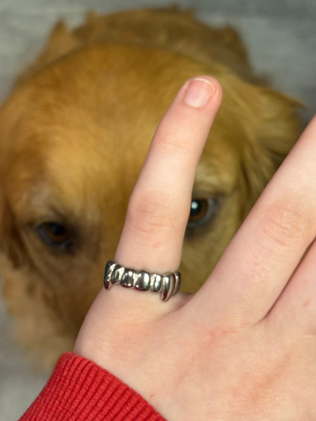 Customer photo review of GRILL RING