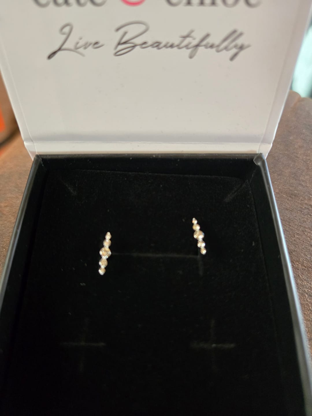 Customer photo review of Theadora 18k White Gold Plated Linear Stud Earrings with Swarovski Crystals