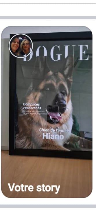 Customer photo review of Dogue - Poster personnalisé