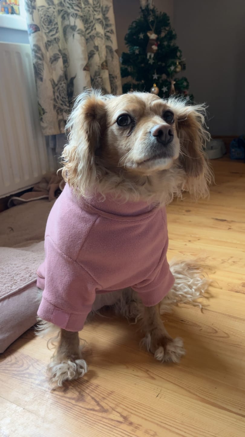 Customer photo review of Cosy Dog Fleece Jumper - Zip Up / Step in Style | Rose Pink