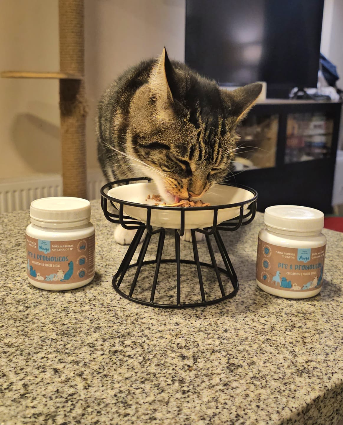 Customer photo review of Pre & Probióticos