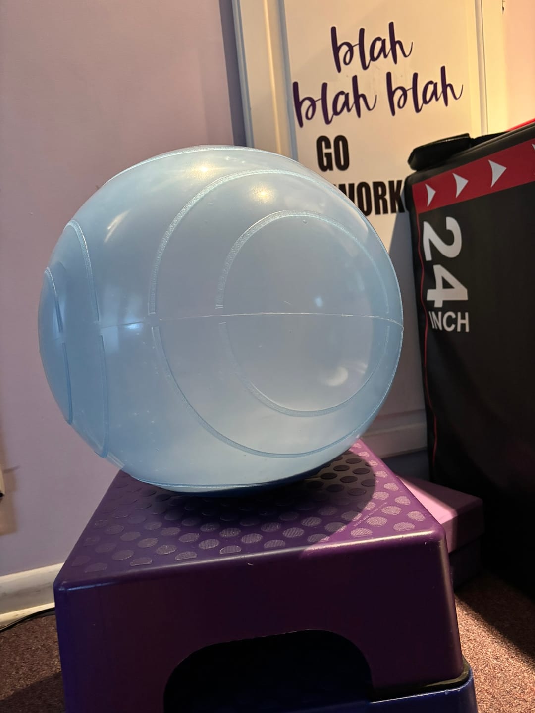 Customer photo review of Ballast® Ball (Extra Firm)