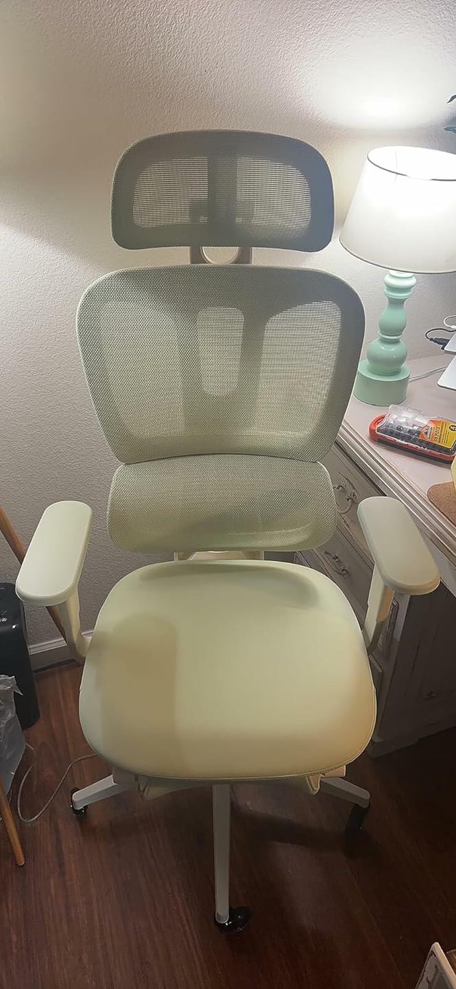 Customer photo review of S3 Premium Stylish Office Chair