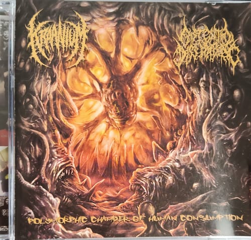 Customer photo review of Kraanium / Existential Dissipation - Polymorphic Chamber of Human Consumption
