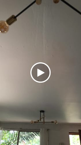 Customer video review of Lampara Techo Modelo LIMBA Color Negro/Dorado 4 soquetes