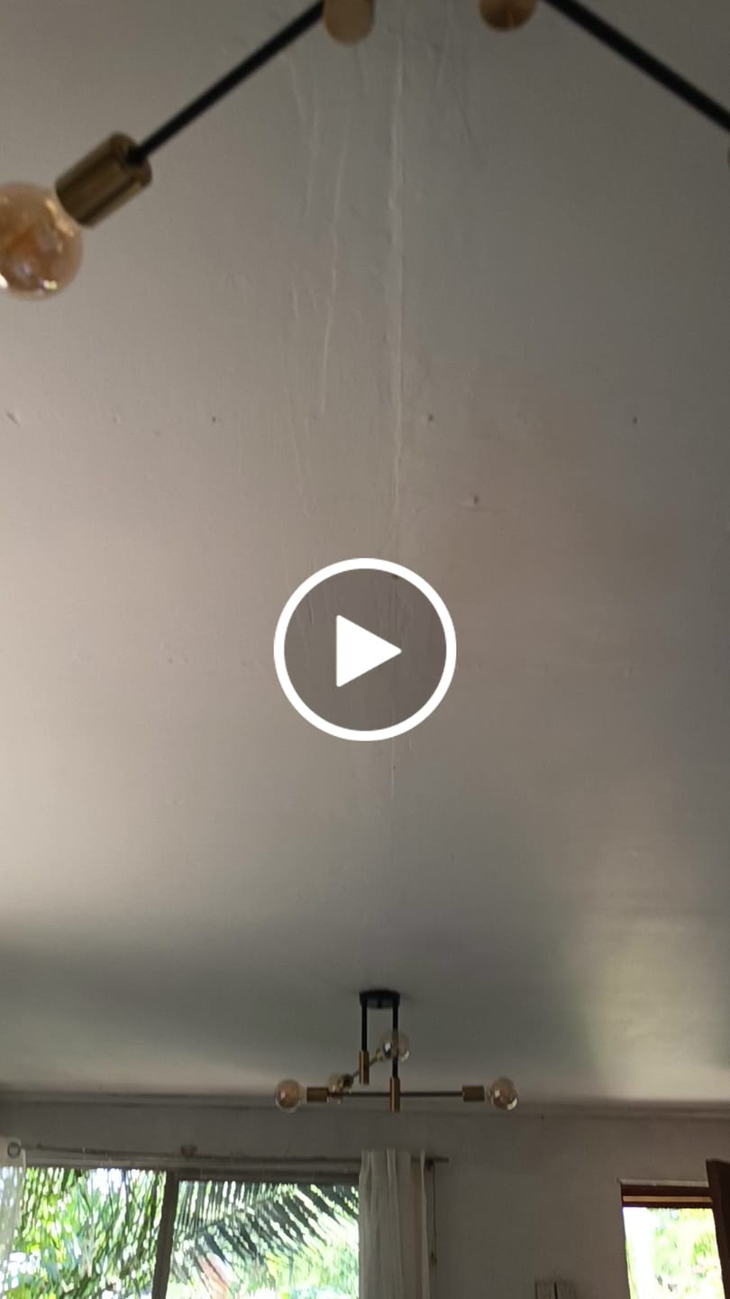 Customer video review of Lampara Techo Modelo LIMBA Color Negro/Dorado 4 soquetes