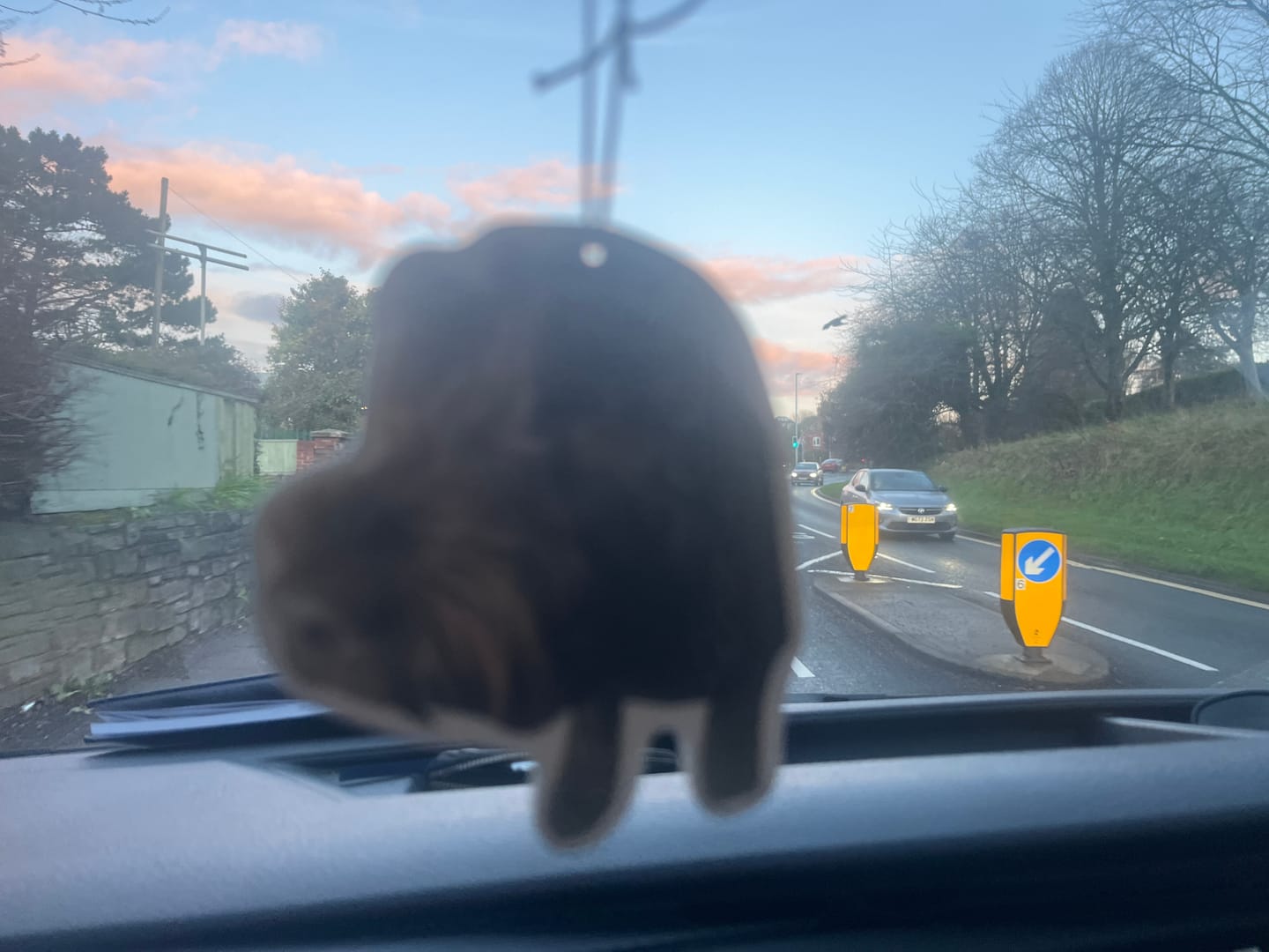 Customer photo review of Personalised Custom Car Air Freshener With Your Photo
