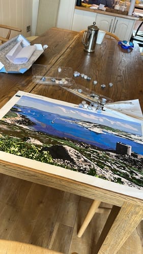 Customer photo review of Paint with Number® Custom Kit (Made in USA | Ships From USA)