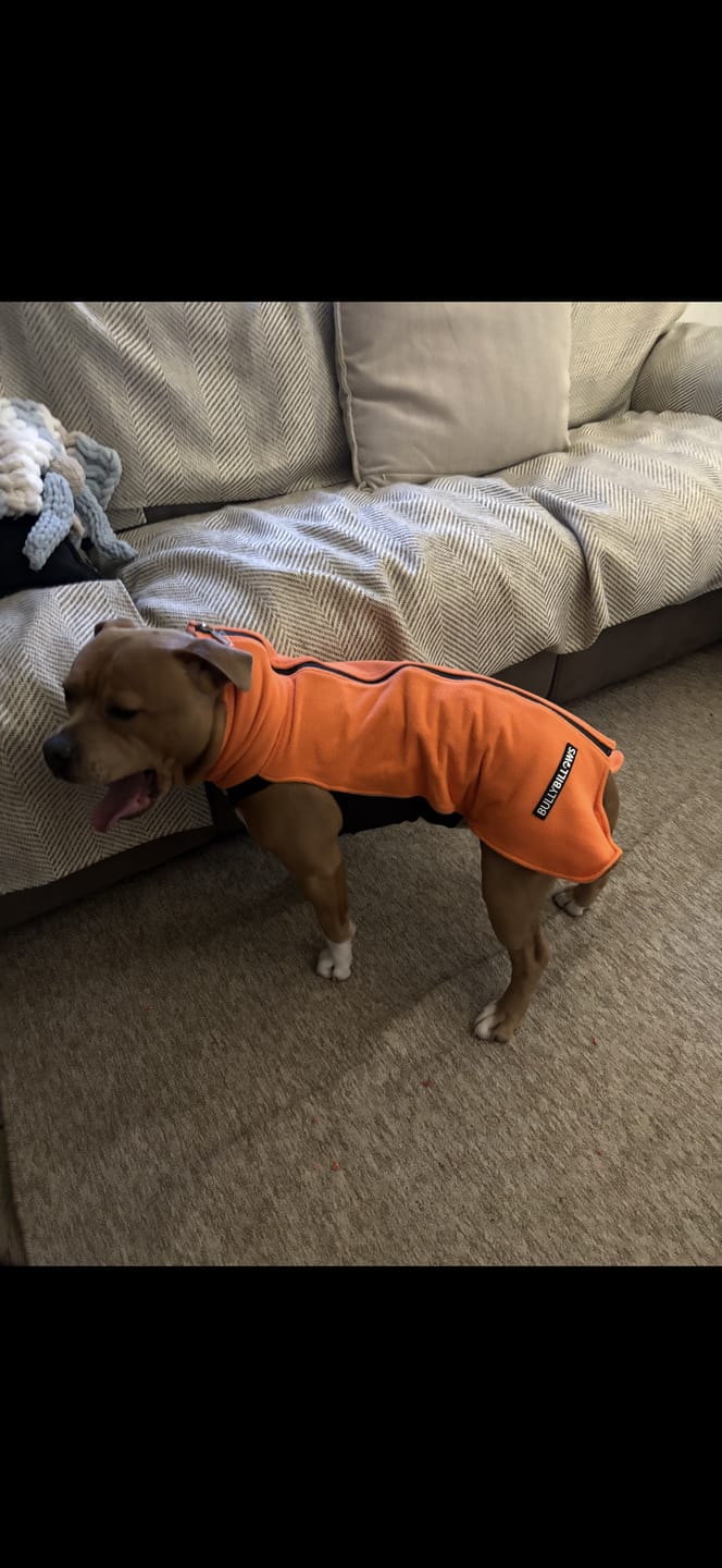 Customer photo review of Dog Fleece With Zip - Orange