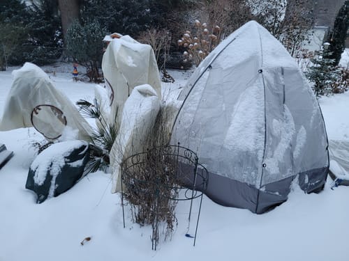 Customer photo review of Winterschutz für Kübelpflanzen mit Fenster XXL H 180 x B 120 cm Ø 76 cm