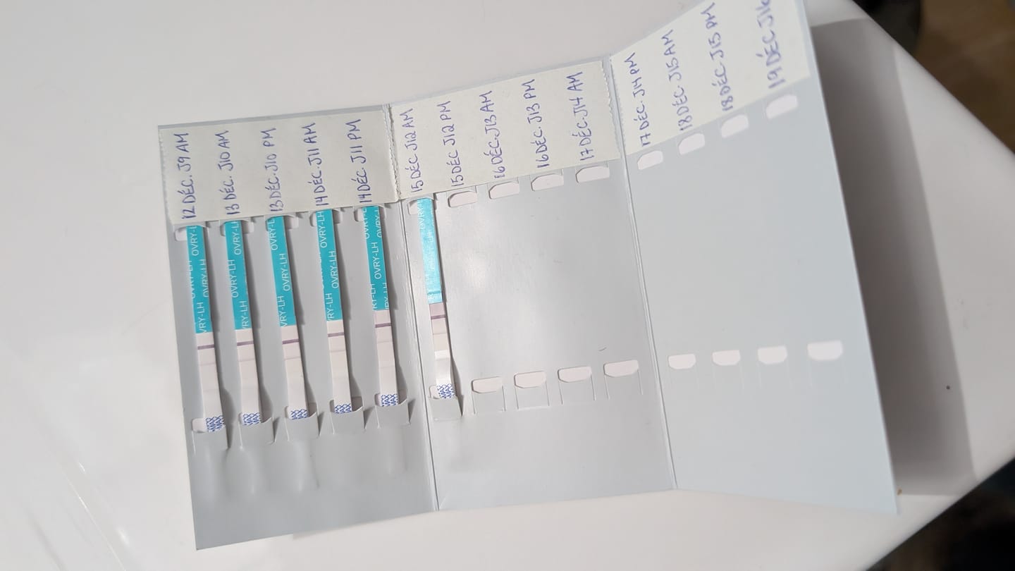 Customer photo review of Ovulation Test Strips