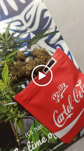 Customer video review of Cartel Cola THCA Flower