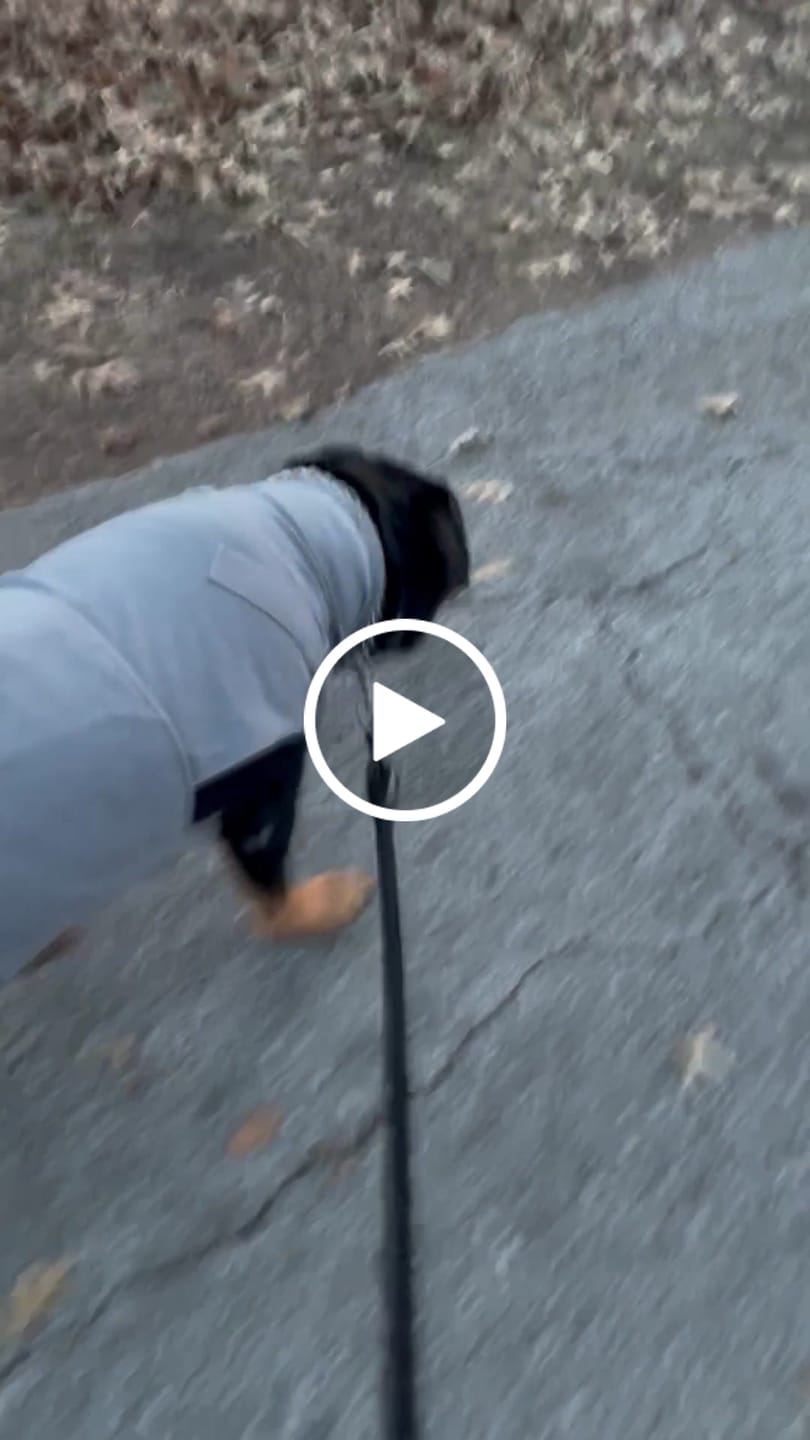 Customer video review of Anxiety Calming Suit