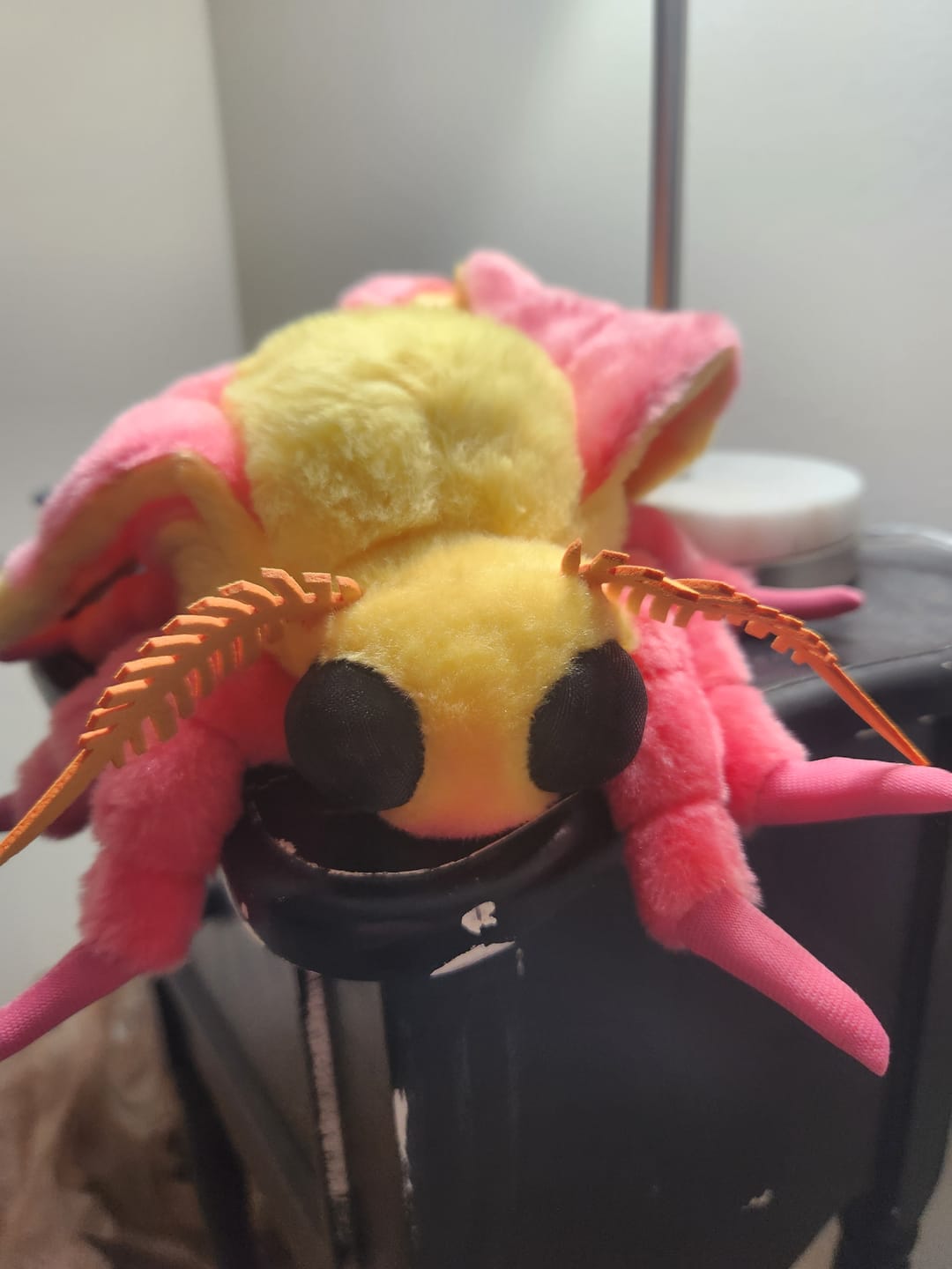 Customer photo review of Rosy Maple Moth Soft Stuffed Plush Toy