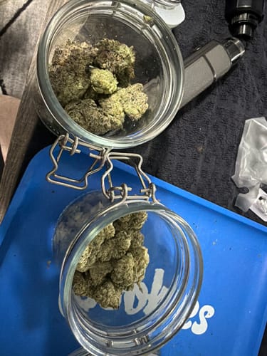 Customer photo review of Elite Boutique Exotics - Z Candy - 14 Grams - Indica