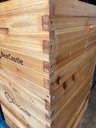 Customer photo review of BeeCastle Hives 10 Frame Cedar Wood Hives Wax Dipped Unassembled Deep Brood Bee Boxes With Pine Wooden Frames and Beeswax Plastic Foundation