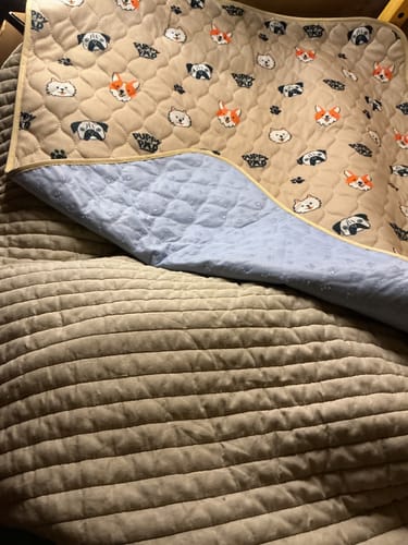 Customer photo review of PuppyPad