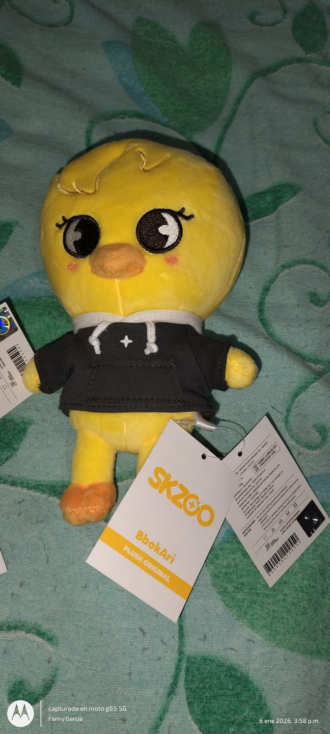 Customer photo review of STRAY KIDS - SKZ'S MAGIC SCHOOL OFFICIAL MD SKZOO PLUSH ORIGINAL VER.