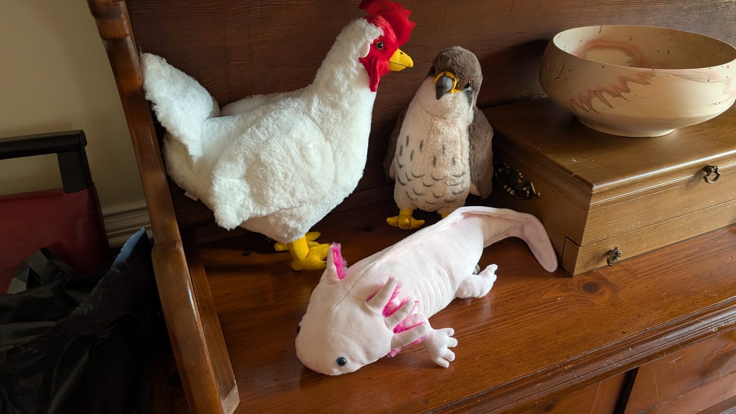 Customer photo review of Pink Axolotl Soft Stuffed Plush Toy