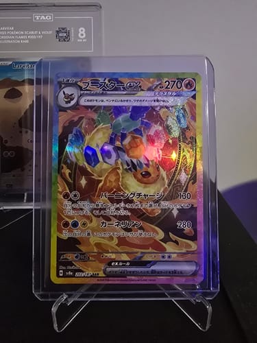 Customer photo review of Pokemon Terastal Festival ex Booster Box sv8a