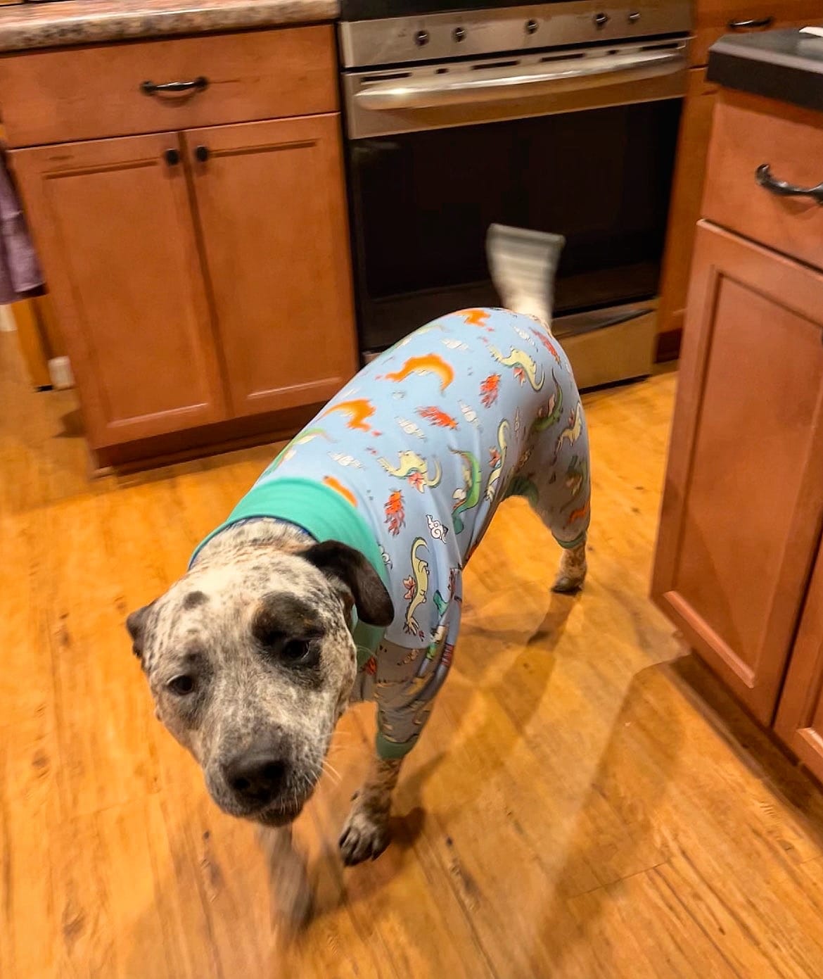Customer photo review of Dog Pajama Prints