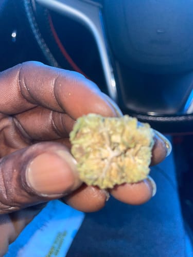 Customer photo review of Key Lime Pie THCA Flower